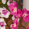 Искусственные цветы "EVA5681"