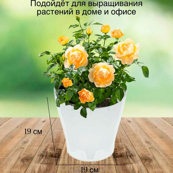 Горшок цветочный "Лея" для орхидеи (с автополивом) 3,6 л М7884 Горшок цветочный "Лея" для орхидеи (с автополивом) 3,6 л М7884