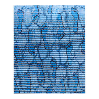 FH060 Коврики рулонные AQUADOMER ПВХ 0,65*15м (1 метр) FH060 Коврики рулонные AQUADOMER ПВХ 0,65*15м (1 метр)