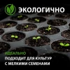 Кассета для рассады, 520х310х60 мм, 28 ячеек, полистирол// Россия