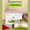 Масленка Olives HC601R-B21